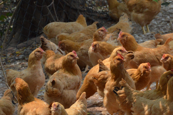 先进的管理模式